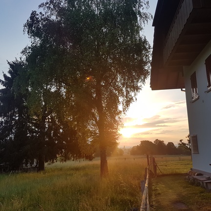 Das hebt die Stimmung