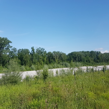 Landschaft an der Emme