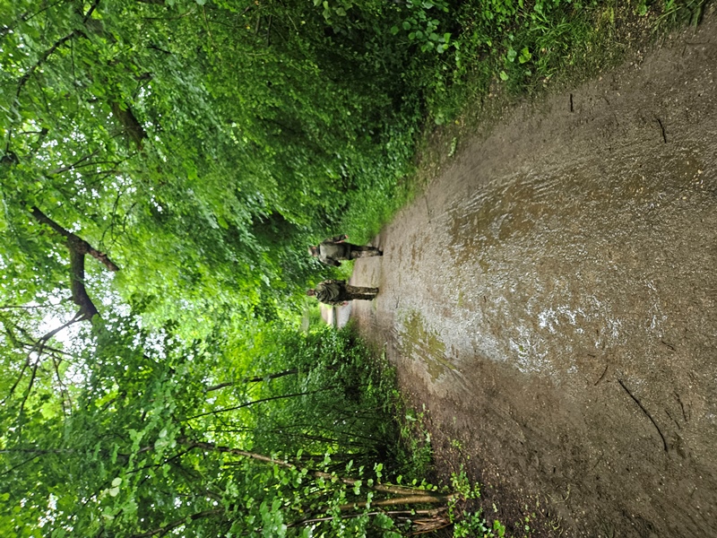 Auf dem Emmendamm