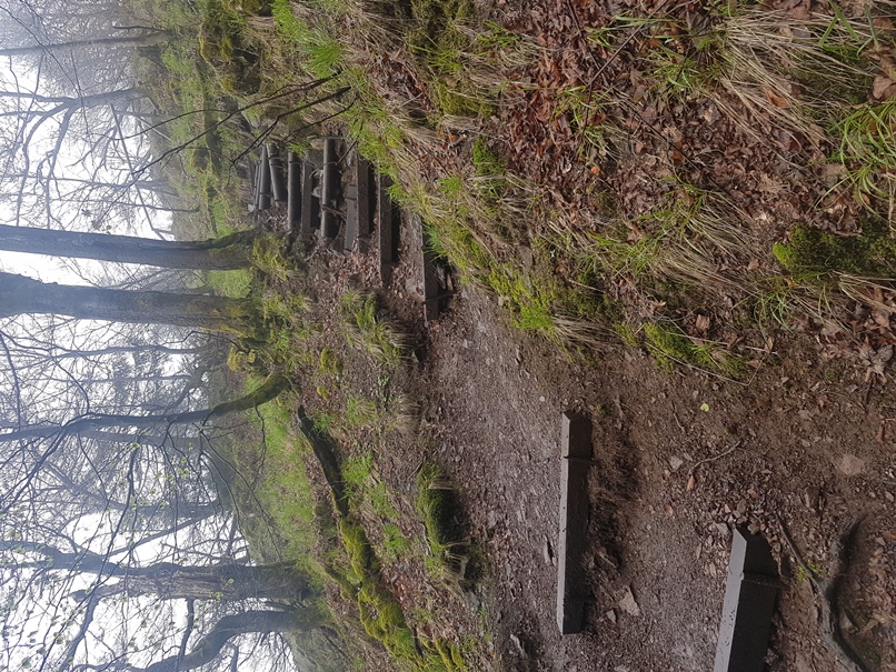 Abstieg Inselsberg