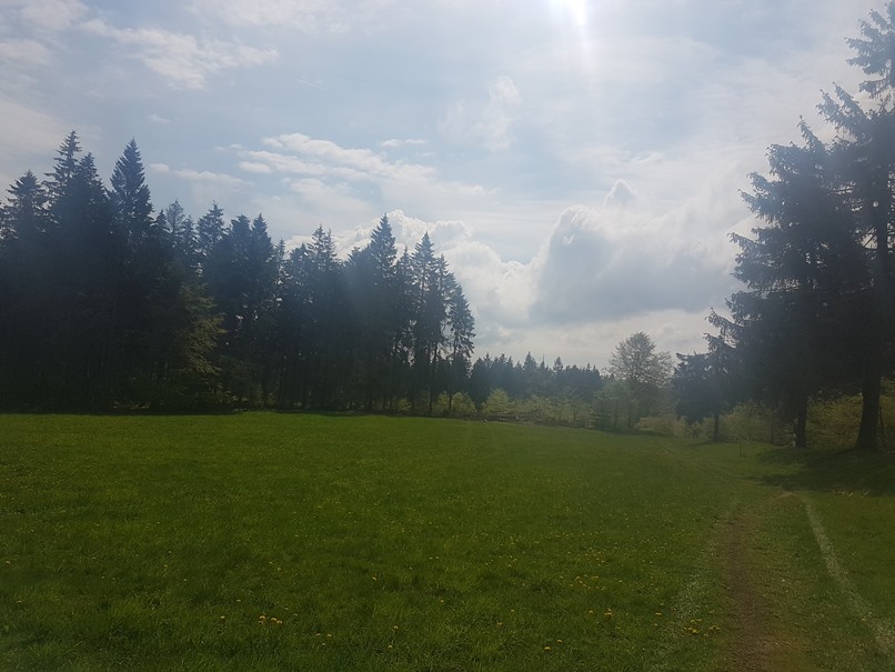 Schwalbenhauptwiese