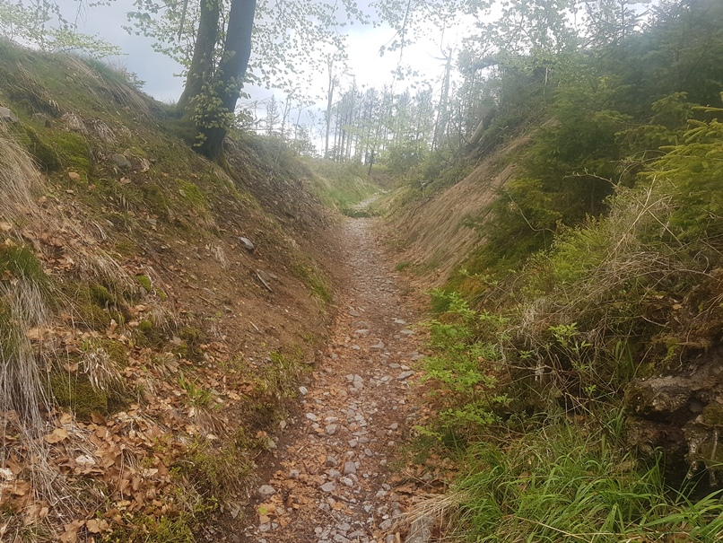 Hohlweg Fehrenberg