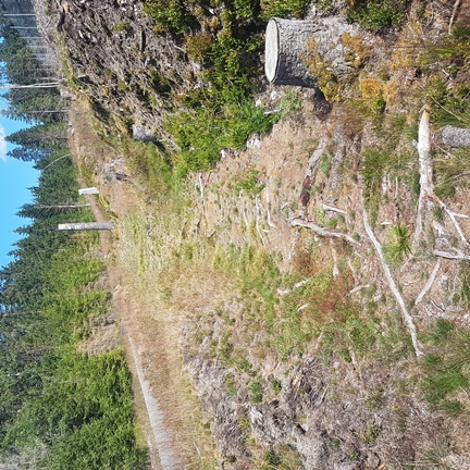 Aufstieg nach Limbach