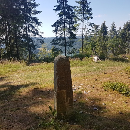 Blick vom Sandberg Richtung Talsperre Scheibe-Alsbach