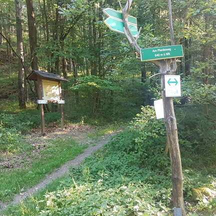 Letzter steiler Anstieg vor Schlegel