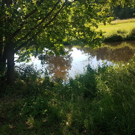 Am Ziel