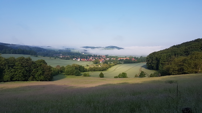 Nebel im Tal