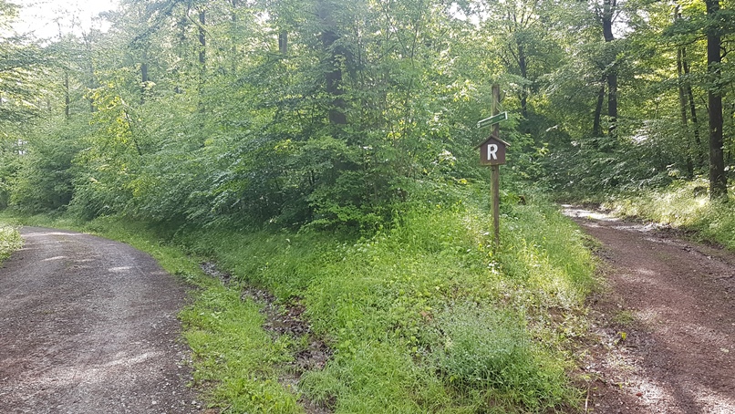 Rennsteiggabelung