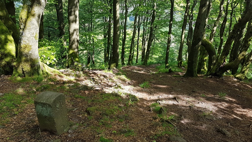 Steilhang Inselsberg