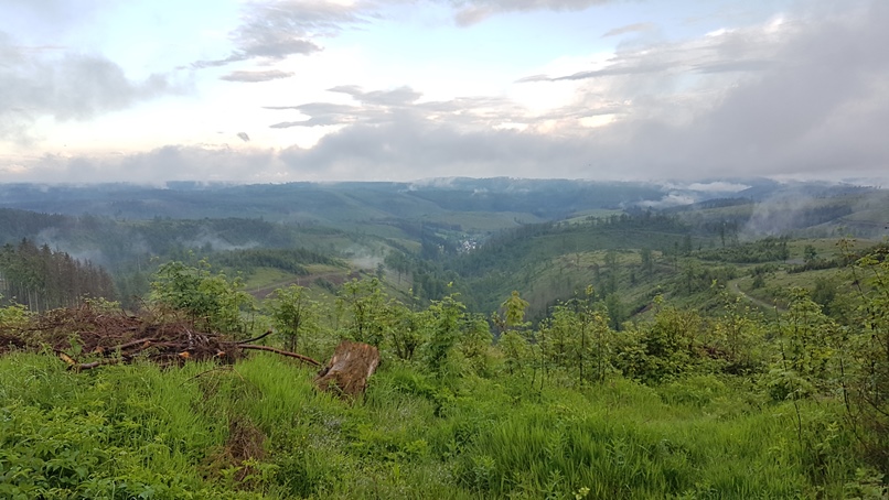 Am Frankenwaldblick