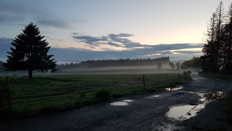 Abenddämmerung im Nebel