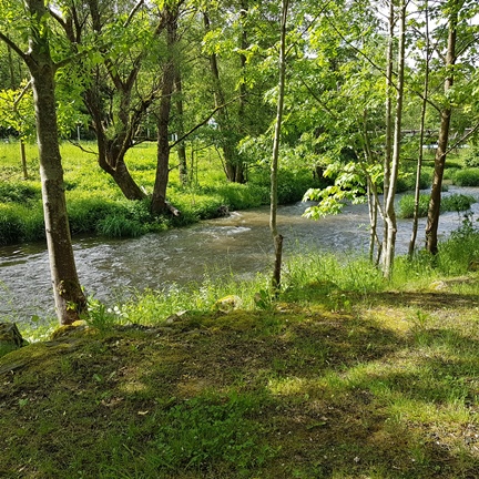 An der Saale