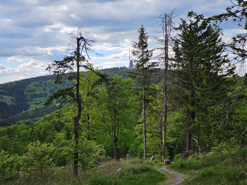Blick zurück zum Inselsberg
