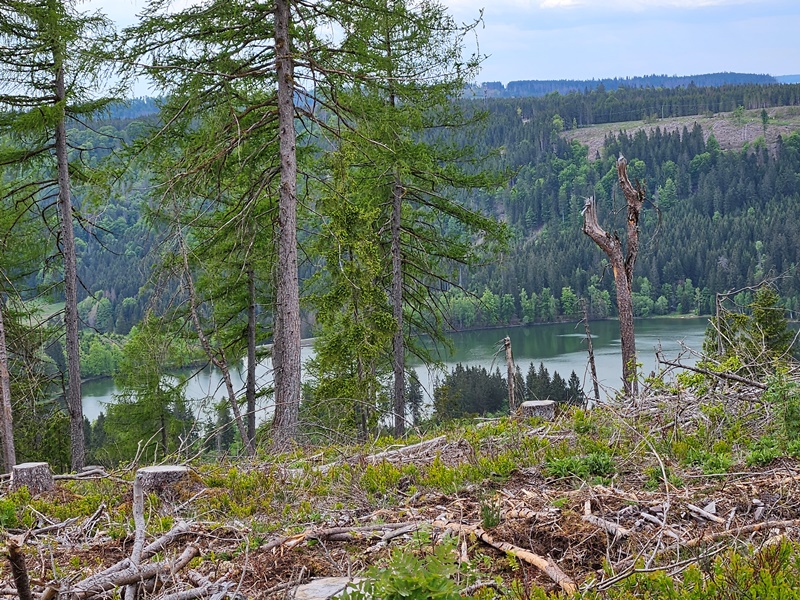 Stausee bei Limbach