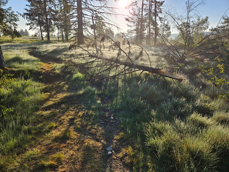 Landschaft bei Sonnenaufgang