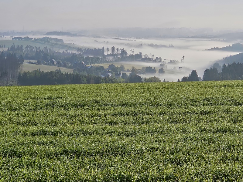 Getreidefelder bei Grumbach
