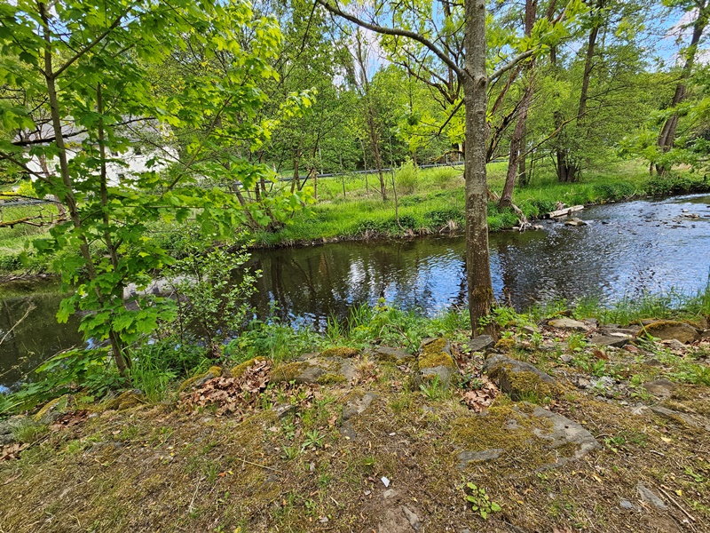 Am Ziel